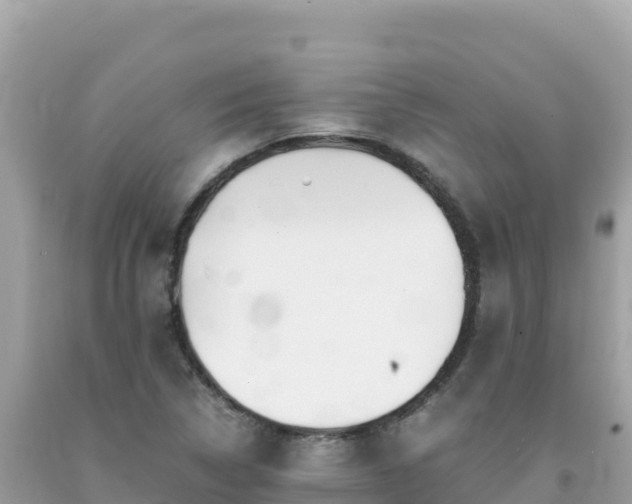X0000092021314200709131547