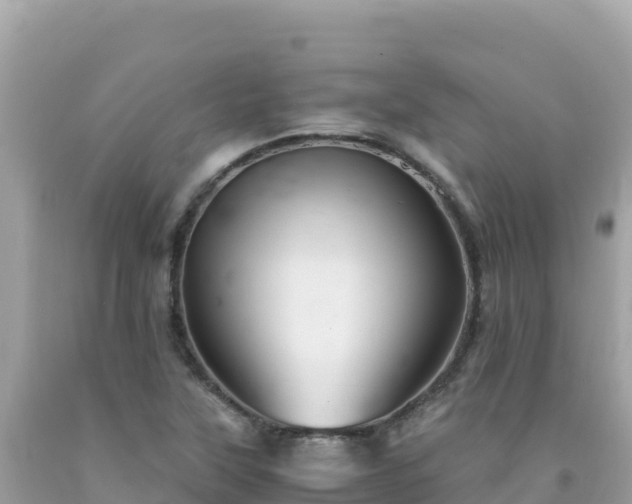 X0000092021315200709131547