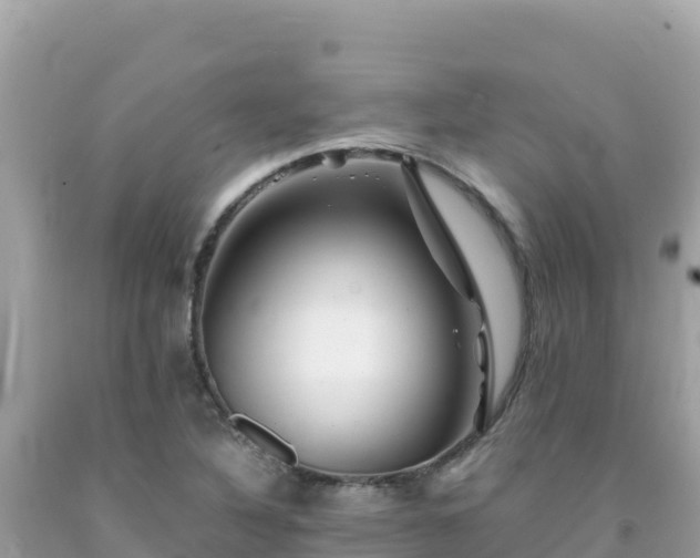 X0000092021316200709131547
