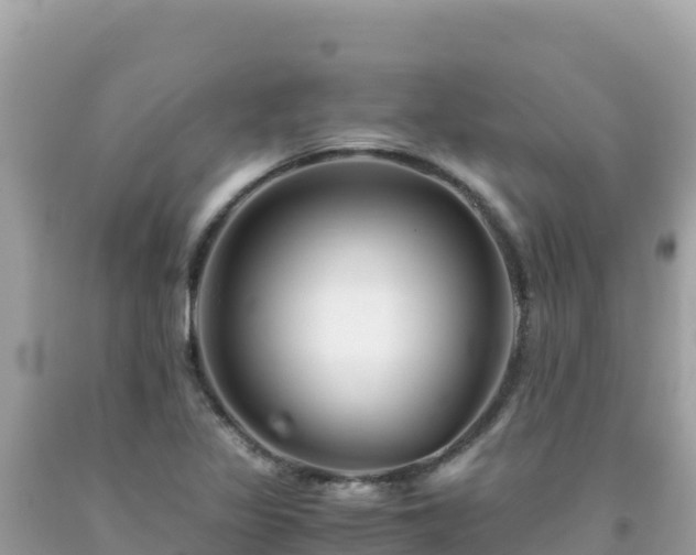 X0000092021317200709131547