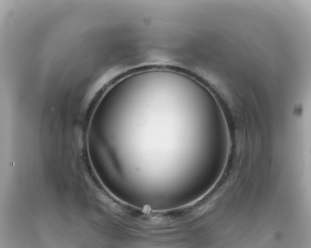 X0000092021318200709131547