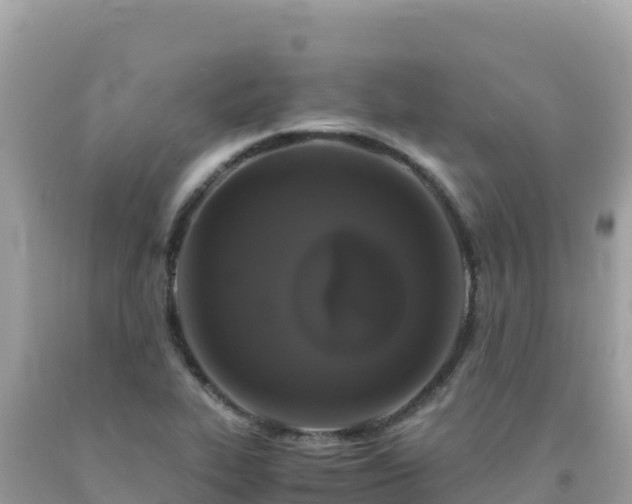 X0000092021319200709131547