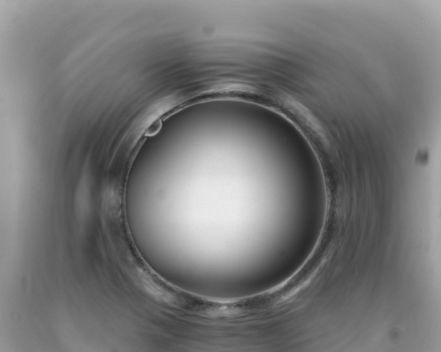 X0000092021321200709131547