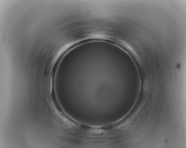 X0000092021323200709131547