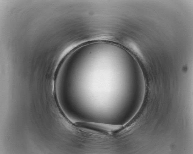 X0000092021324200709131547