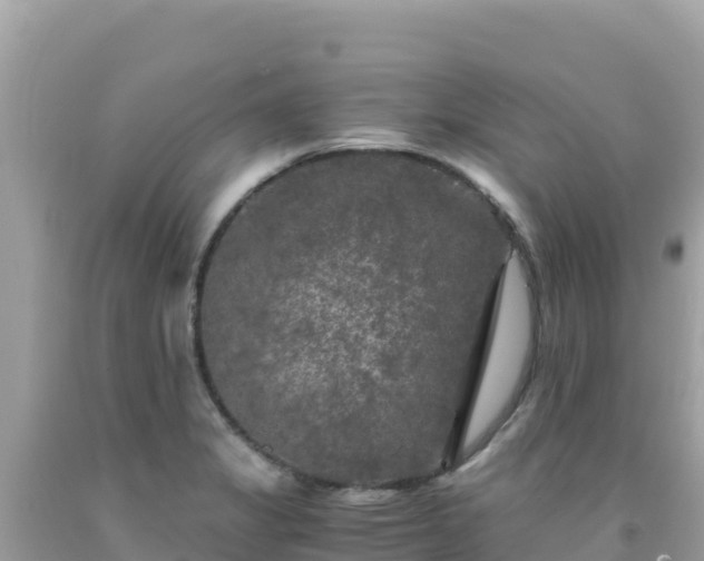 X0000092021325200709131547