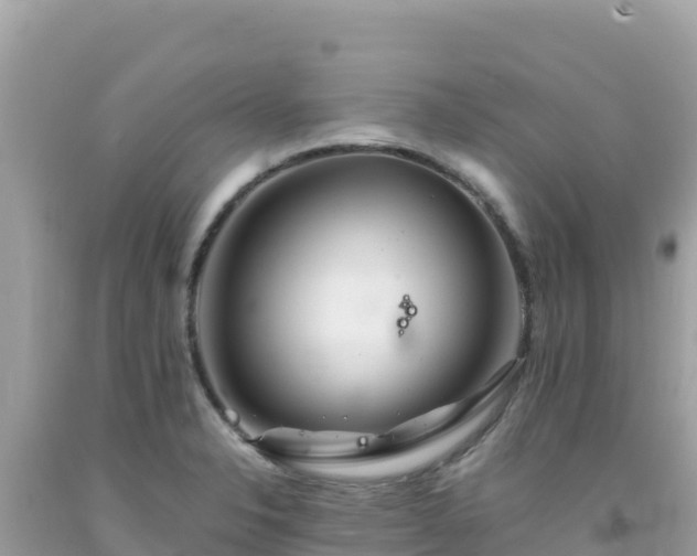 X0000092021326200709131547