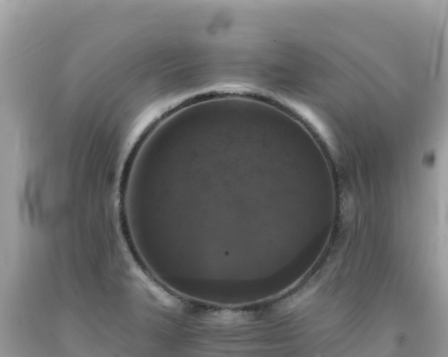 X0000092021327200709131547