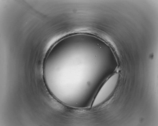 X0000092021328200709131547