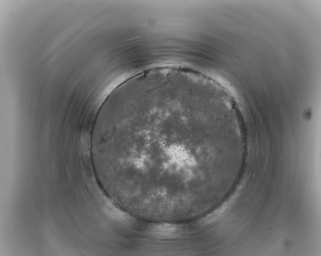 X0000092021329200709131547