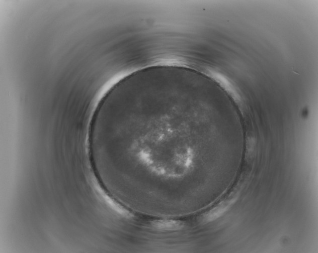X0000092021331200709131547