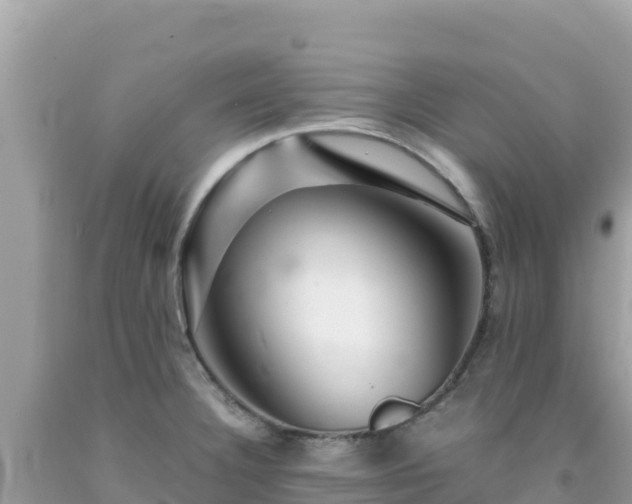 X0000092021332200709131547