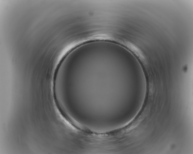 X0000092021334200709131547