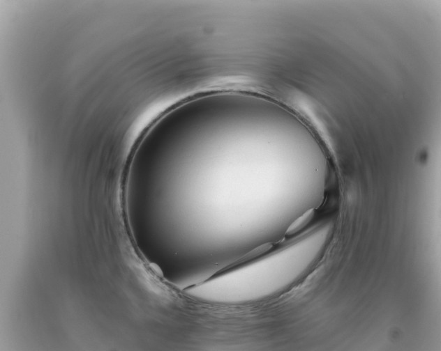 X0000092021336200709131547