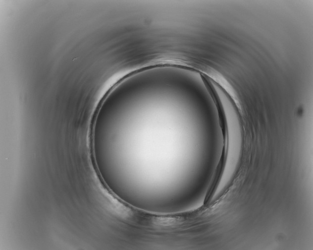 X0000092021339200709131548