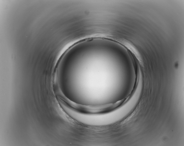 X0000092021340200709131548