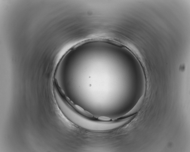 X0000092021344200709131548
