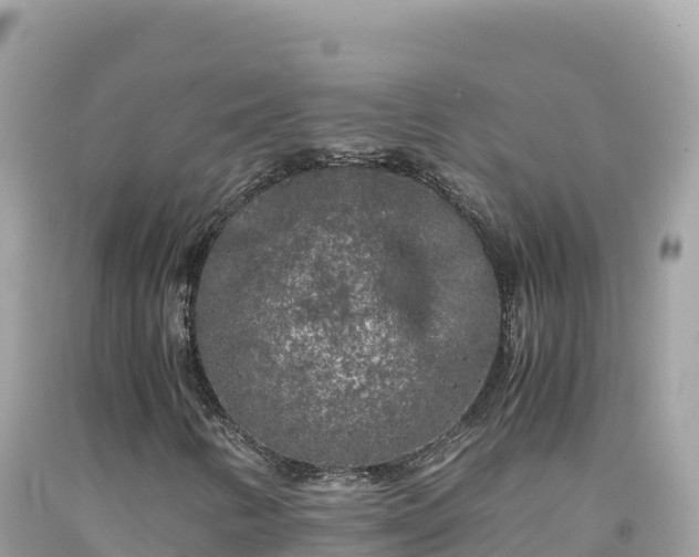 X0000092021346200709131547