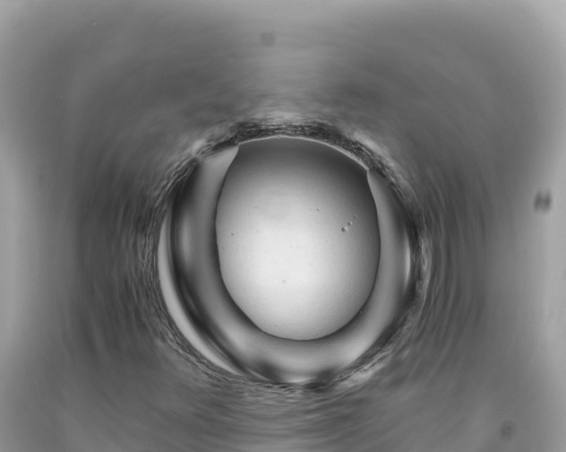 X0000092021348200709131547