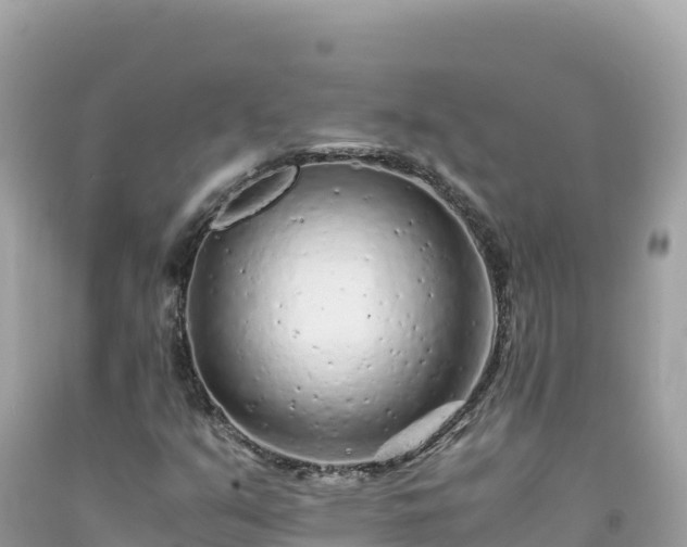 X0000092021351200709131547