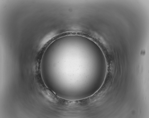 X0000092021352200709131547