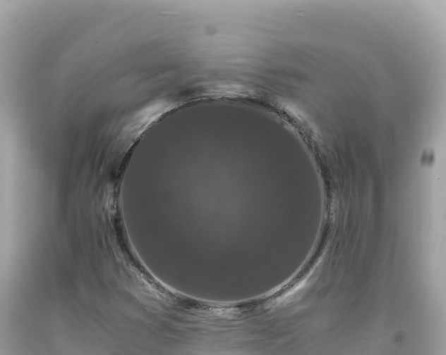 X0000092021353200709131547