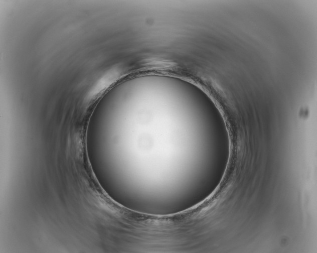 X0000092021354200709131547