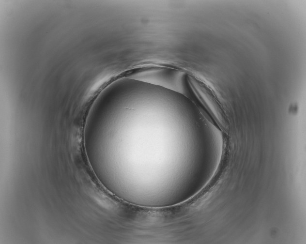 X0000092021355200709131547
