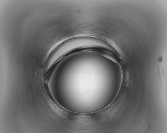 X0000092021356200709131547