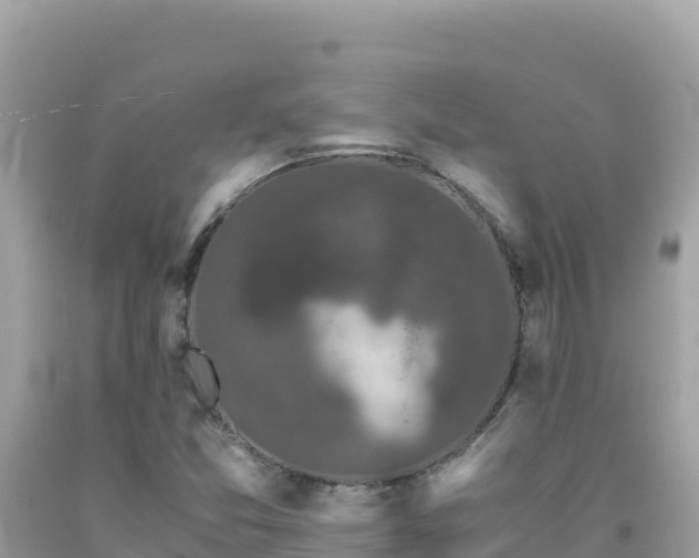 X0000092021357200709131547