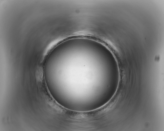 X0000092021358200709131547
