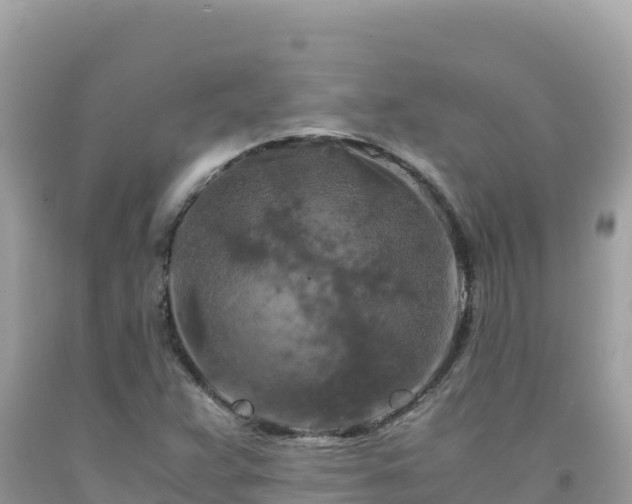 X0000092021359200709131547