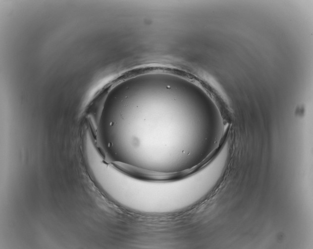 X0000092021360200709131547