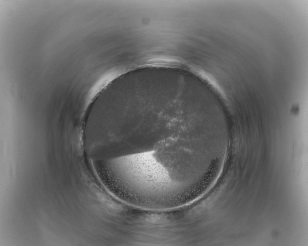 X0000092021362200709131547