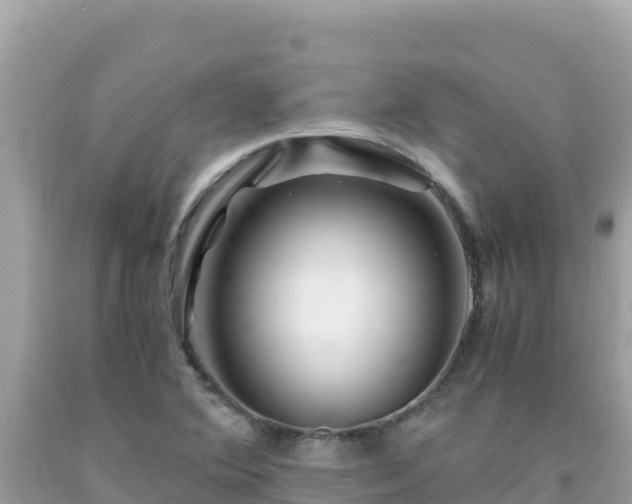 X0000092021364200709131547