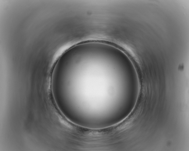 X0000092021366200709131547