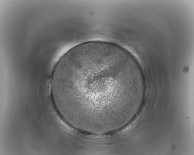 X0000092021367200709131547