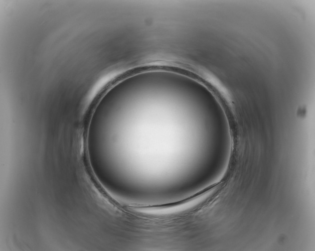 X0000092021368200709131547