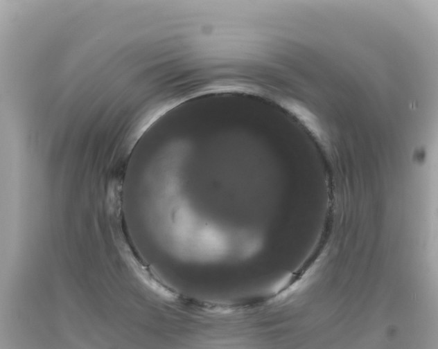 X0000092021369200709131547