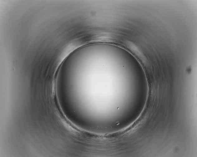 X0000092021370200709131547