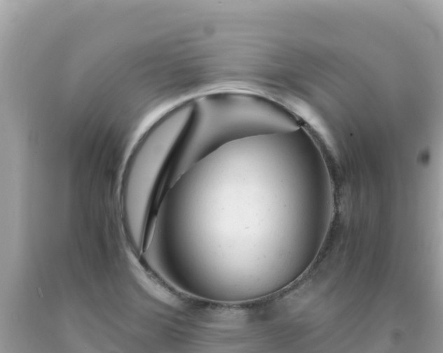 X0000092021372200709131547