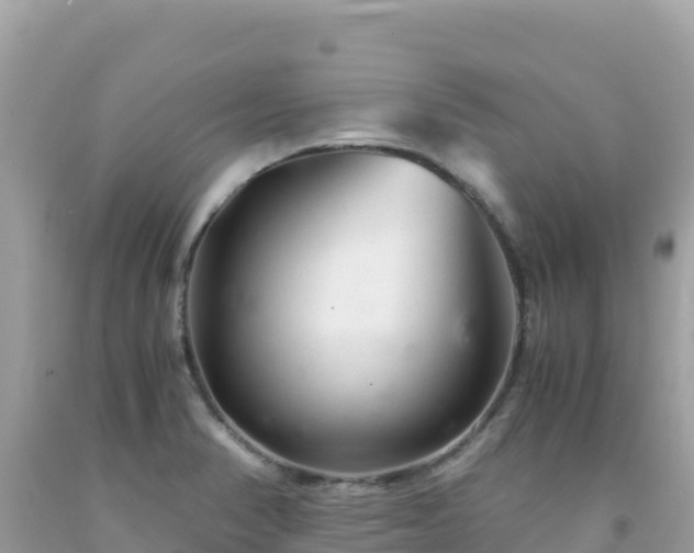 X0000092021374200709131547