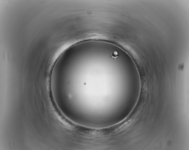 X0000092021375200709131547