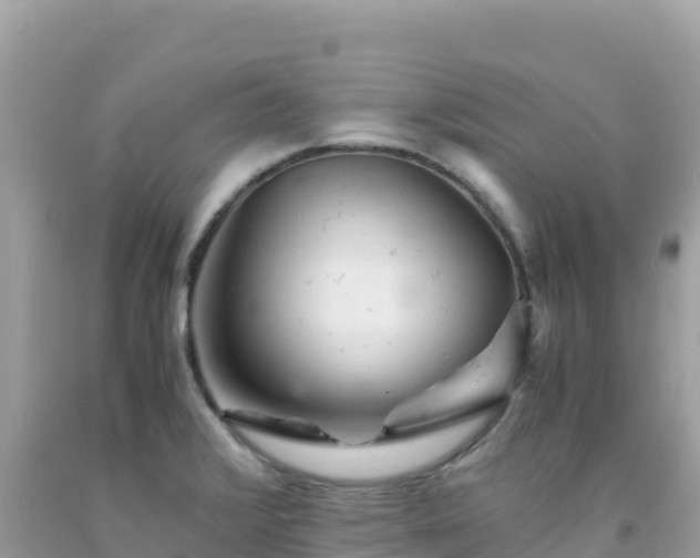 X0000092021376200709131547