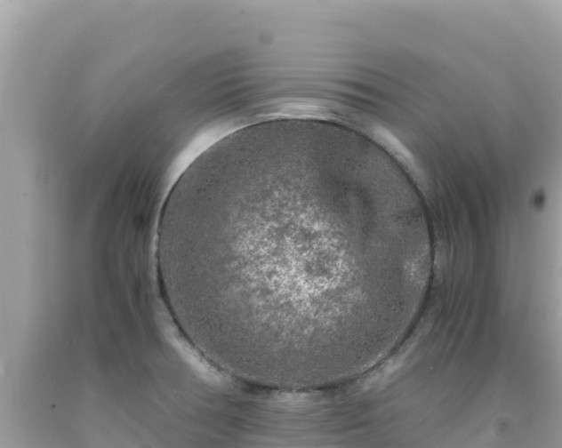 X0000092021378200709131547