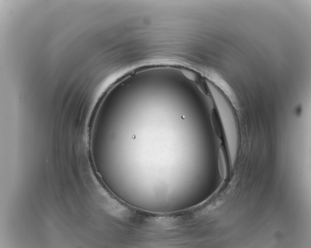 X0000092021380200709131547