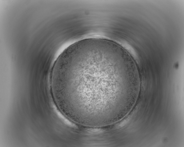 X0000092021382200709131547