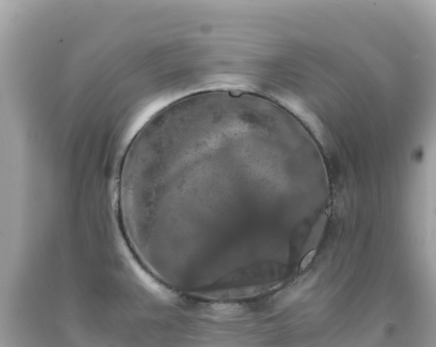 X0000092021383200709131547