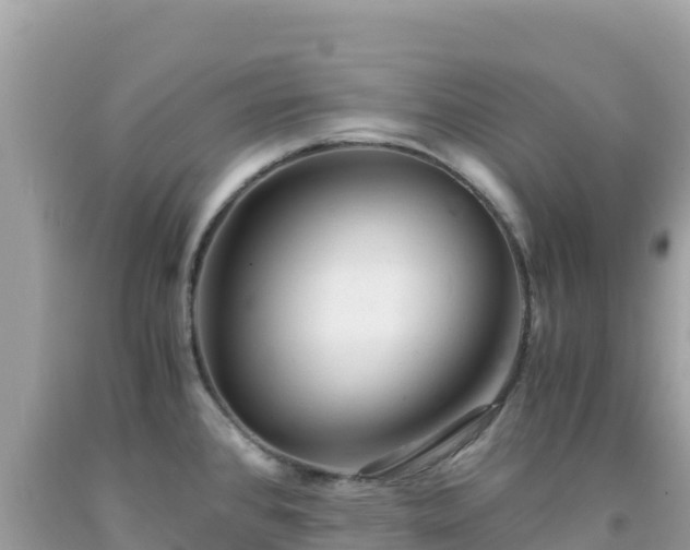 X0000092021384200709131547