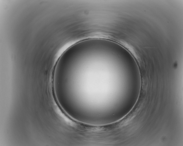 X0000092021387200709131546